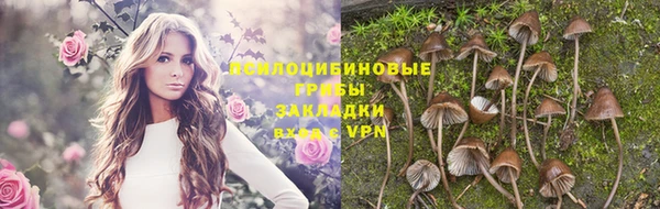 молекула духа Верея