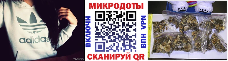 Галлюциногенные грибы Cubensis  Воскресенск 